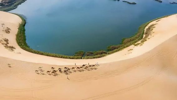 吉達老城+泰耶巴特博物館+拉赫馬清真寺(漂浮清真寺)+濱海大道+噴泉一日遊