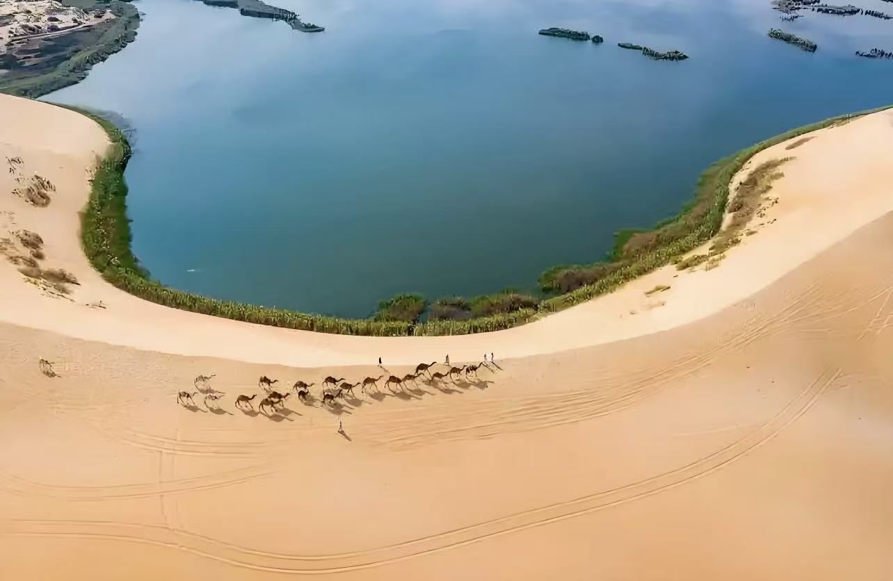 吉達老城+泰耶巴特博物館+拉赫馬清真寺（漂浮清真寺）+濱海大道+噴泉一日遊