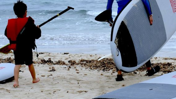 Mallorca: 1-Hour Stand-up Paddleboard Class