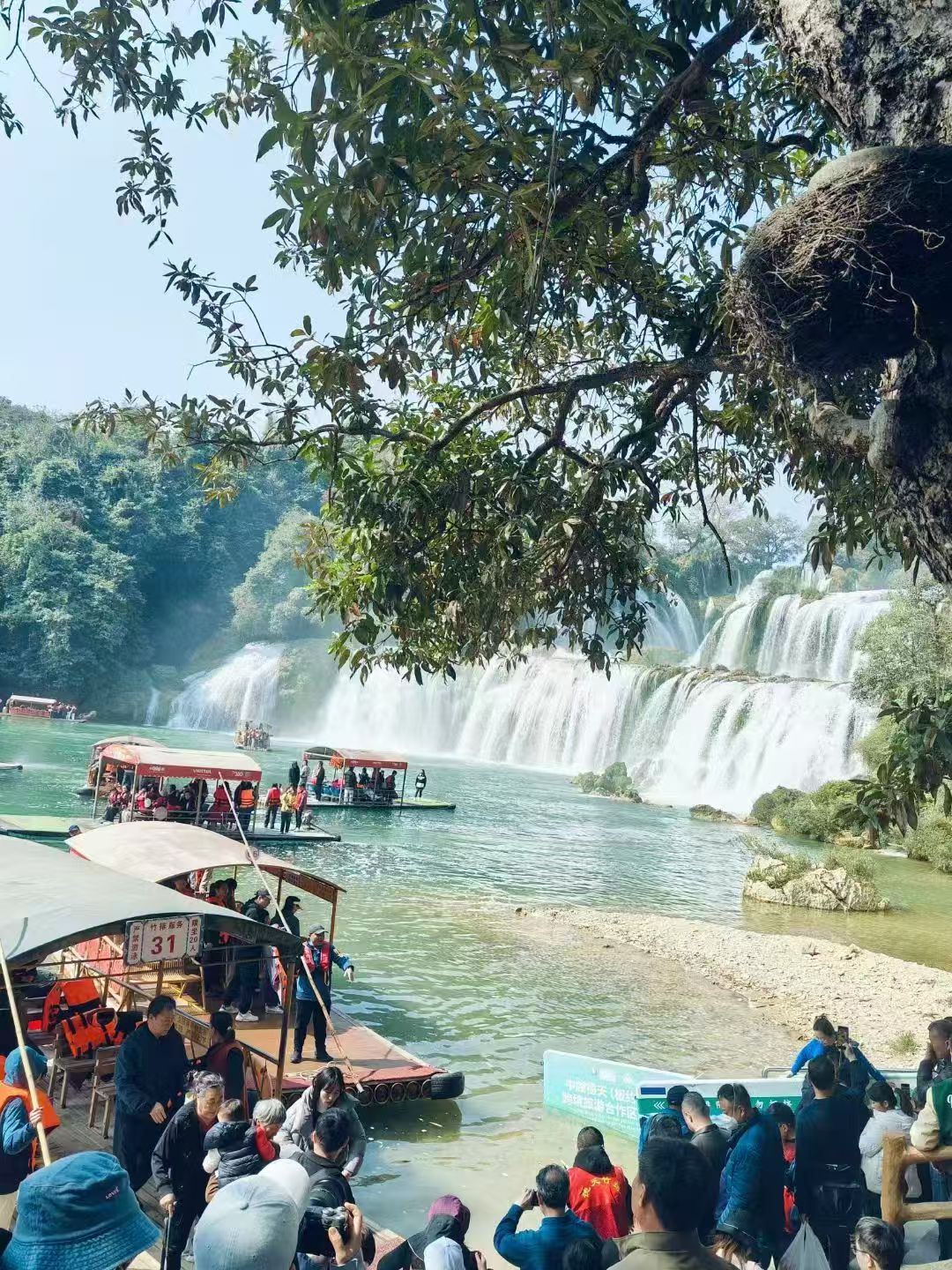 2–8 people small group tour|private tour|Chongzuo Departure and Return: Huashan Rock Paintings + Pingxiang Friendship Pass