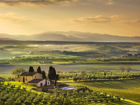 澳洲悉尼獵人谷一日遊【酒莊品酒|朱古力芝士工廠|中文團】