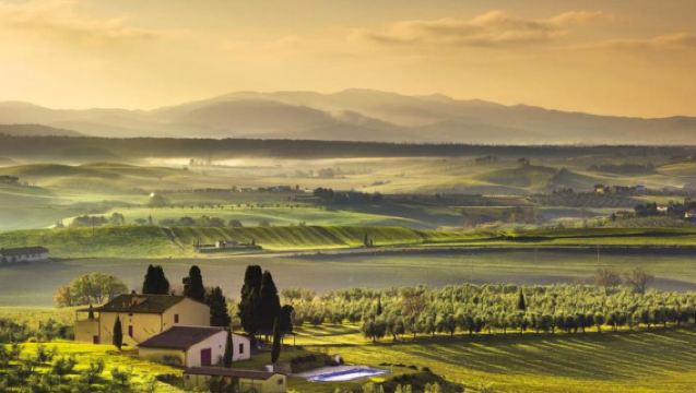 澳洲 新南威爾士 悉尼+獵人谷一日遊