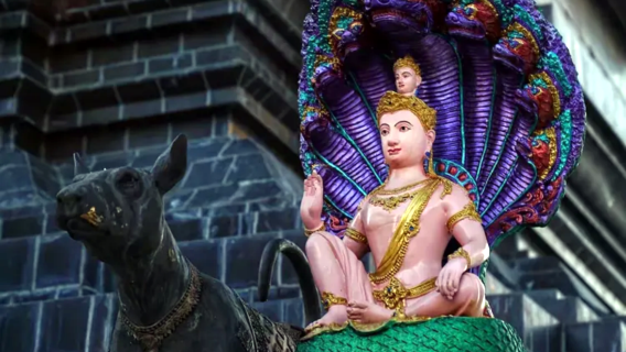 Chiang Mai Blue Temple, Sticky Waterfall, THAPAE Gate with private guide and transport