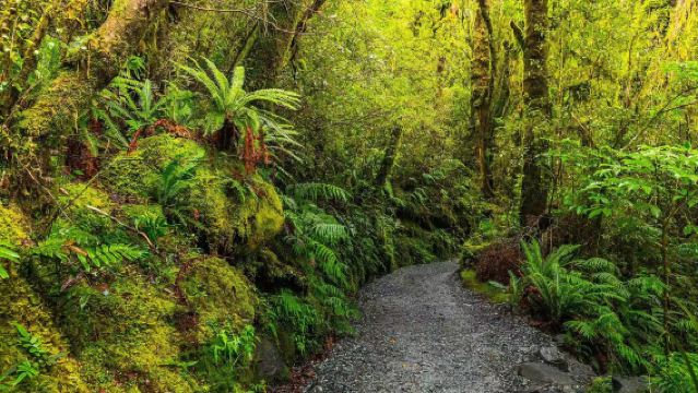Berlepas dari Queenstown | Lawatan Sehari Sewaan Peribadi dalam Bahasa Cina ke Milford Sound dengan Ciri Geografi yang Unik