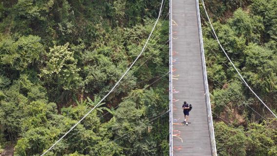 呀諾達熱帶雨林【1單1團·純玩·專車】可增加景點