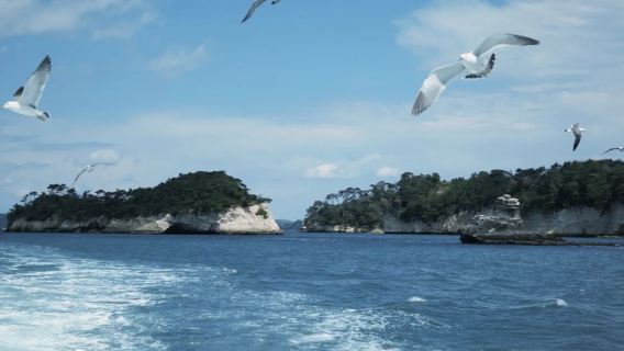 Japan Sendai Customized Private Charter 1-Day Tour: Taga Castle + Shiogama Shrine + Matsushima Ancient Discovery Free Tour