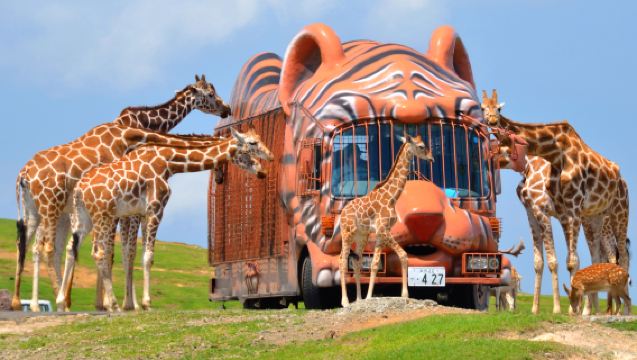 Harga separuh untuk orang ke-2|Lawatan sehari Beppu Oita Yufuin Zoo Semula Jadi Kyushu Neraka Laut