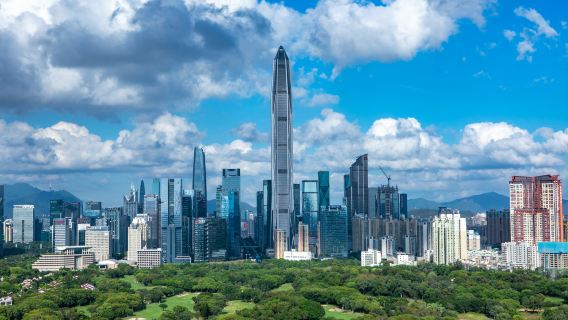 Shenzhen: Tech Pulse & Panoramic Experience 1-Day Tour (Transportation Method Optional)