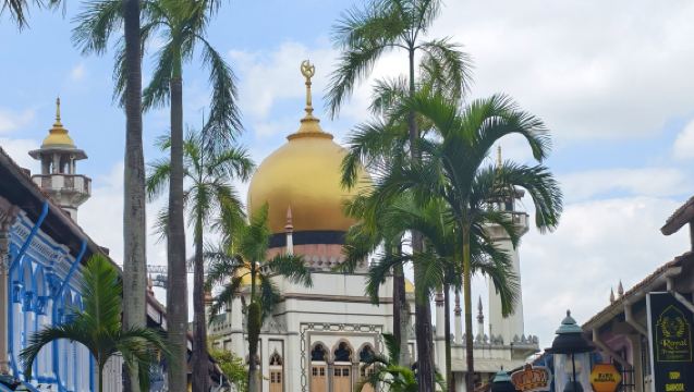 新加坡甘榜格南網紅拍照半日步行團｜中文導遊· 出片保證