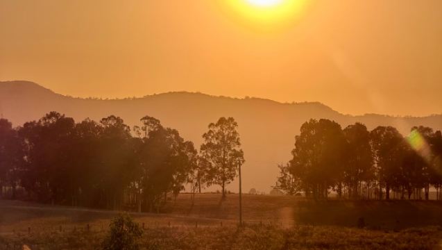 Pakej Pelancongan Kumpulan Kecil Eksklusif Sydney, Hunter Valley + Makan Tengah Hari + Pantai Central Coast
