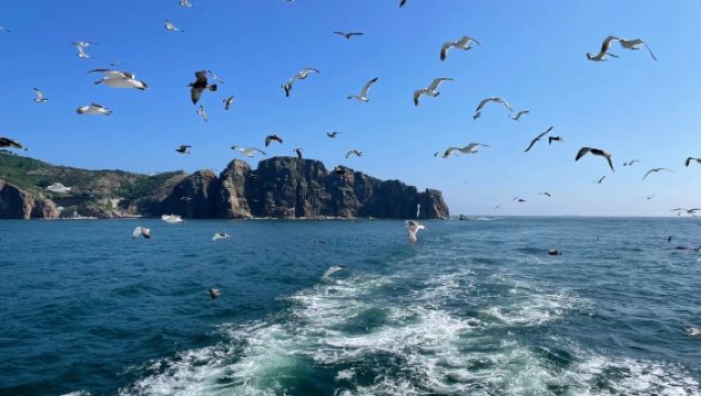 成山頭風景名勝區+摩天嶺索道+海驢島海上遊+布魯維斯+那香海一日遊