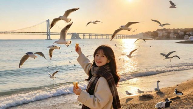 大連環海純玩一日遊6人精品棒棰島+帆船親海餵海鷗威尼斯水城