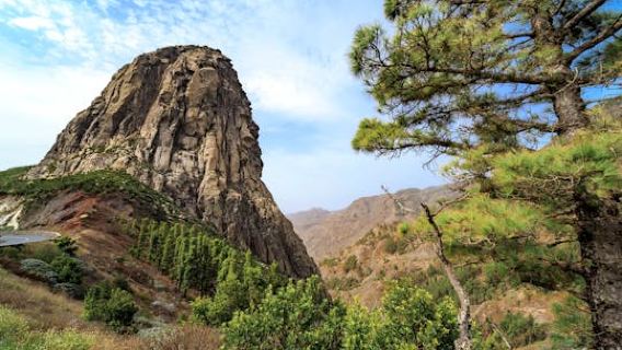 La Gomera tour with Garajonay Forest and San Sebastian