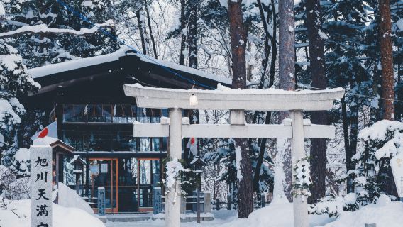日本札幌-札幌電視塔-大通公園-白色戀人公園一日遊｜明星路線