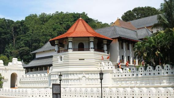 Kandy Day Trip with Temple of Sacred Tooth From Bentota