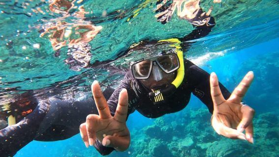 Tenerife: Snorkeling in a Marine Protected Area- Free Photos