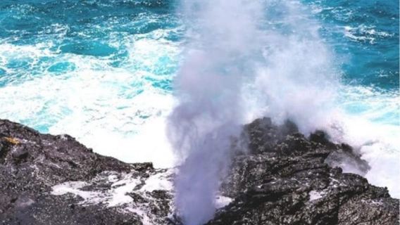 Oahu Circle Island Tour with Byodo-In Temple Admission