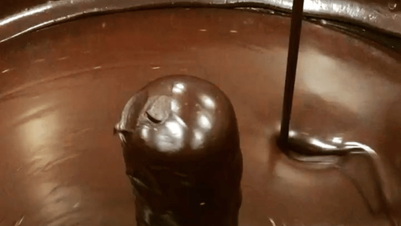 Chocolate Factory Tour & Tasting near Alessandria