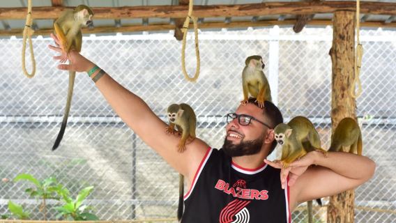 Puerto Plata: Damajagua Waterfalls and Monkey Park