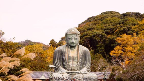 Sewaan peribadi sekitar Tokyo, Jepun: Lawatan sehari Kamakura & Pulau Enoshima | Kuil lama tepi pantai + matahari terbenam | Itinerari boleh disesuaikan