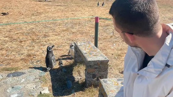 Punta Arenas: Passeio de Barco até a Ilha Magdalena e Caminhada com Pinguins