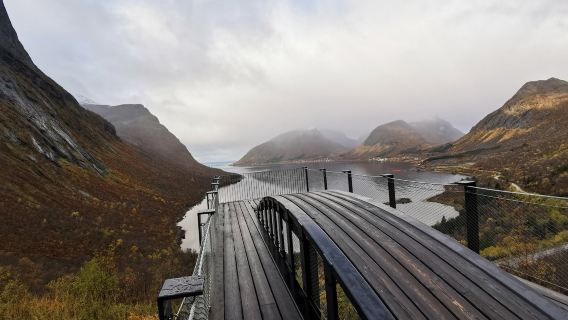 Lawatan sehari Tromso + Senja Norway [perkhidmatan berbahasa Cina, pakej berkumpulan atau sewaan peribadi]