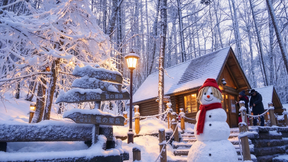 Winter whispers: Asahiyama Zoo + Shirahige Waterfall + Biei Shirogane Blue Pond (Aoiike) + Ningle Terrace 1-day tour