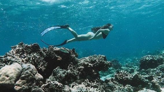 BaliExperiences