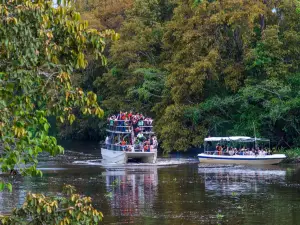 野生动物和日落萤火虫河游船之旅（包括当地小吃和接送）Shabandar Wildlife & Sunset Firefly River Cruise