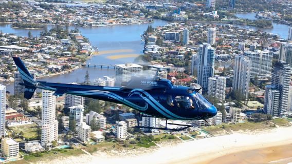 Vol panoramique à Sea World sur la Gold Coast (5 minutes/10 minutes/15 minutes)