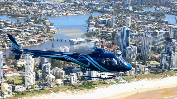 Vol panoramique à Sea World sur la Gold Coast (5 minutes/10 minutes/15 minutes)