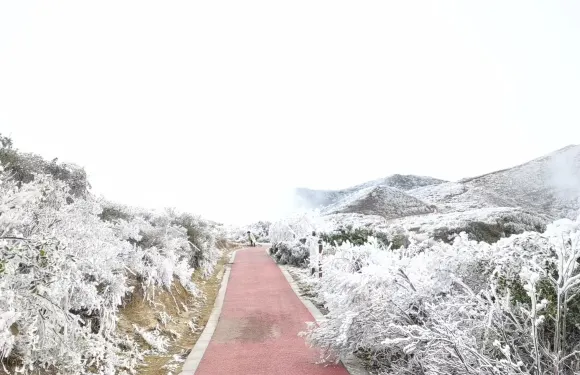 八卦腦景區門票成人