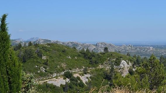 AvignonTours
