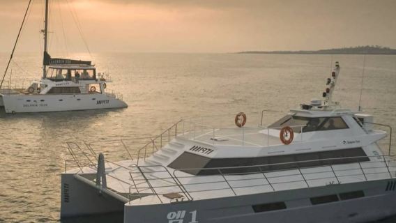 - 제주도 돌고래 관람 - 제주도 M1971 - 제주도 요트에서 돌고래 관람 - 제주도 출항하여 돌고래 관람 - 제주도 인기 명소 - 제주도 야생 돌고래 체험 - 제주도 요트