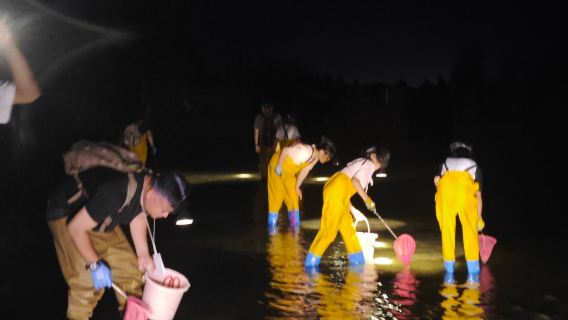 海南三亞趕海體驗/海棠灣趕海體驗（海棠灣+半山半島）【專業教練陪同，收穫自帶走】