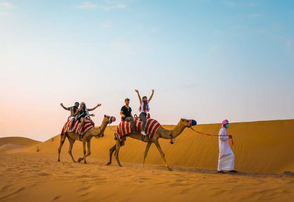 Morning vs Evening Desert Safari Trip