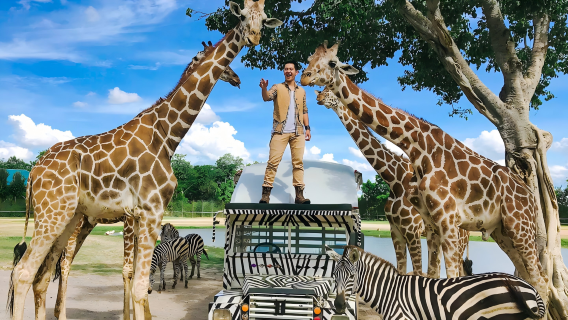 北碧動物園+Elephants' Home & Nature