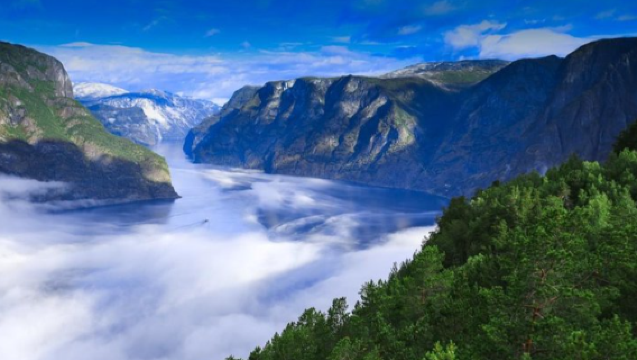 Noruega - Bergen: Aldea Vikinga + Crucero por el Fiordo de Nærøy + Ferrocarril de Flåm | Tour en inglés