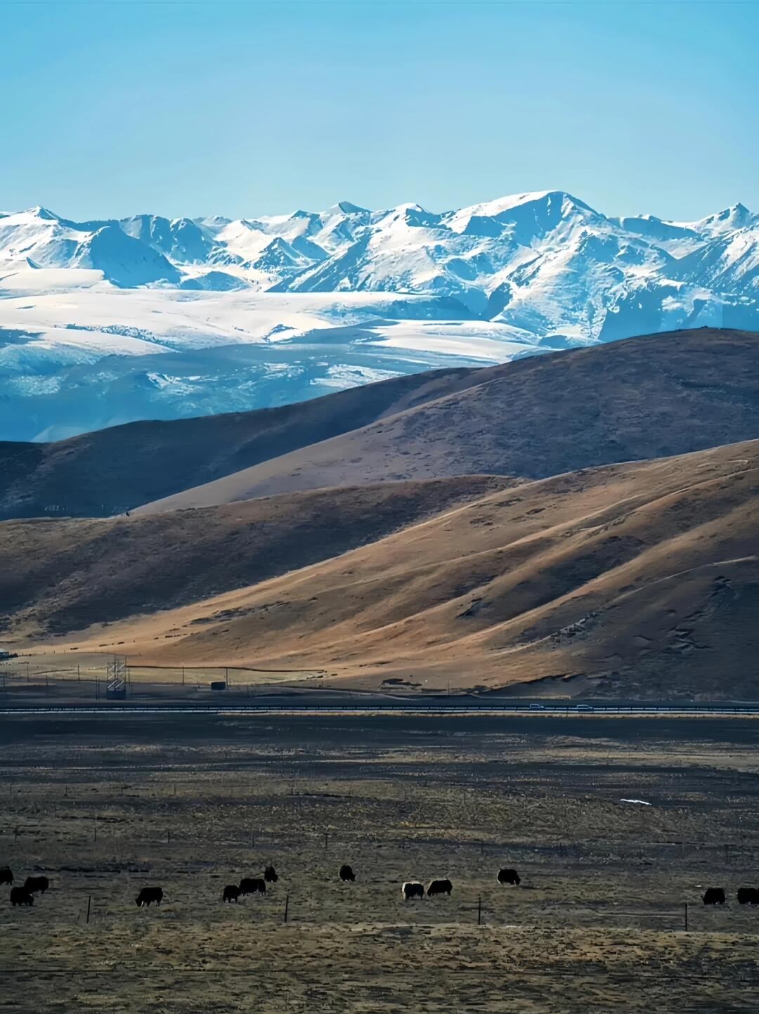 格爾木可可西里【玉珠峰+無極龍鳳宮+索南達傑保護站】一日遊
