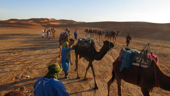 8-Days Tour Across Morocco