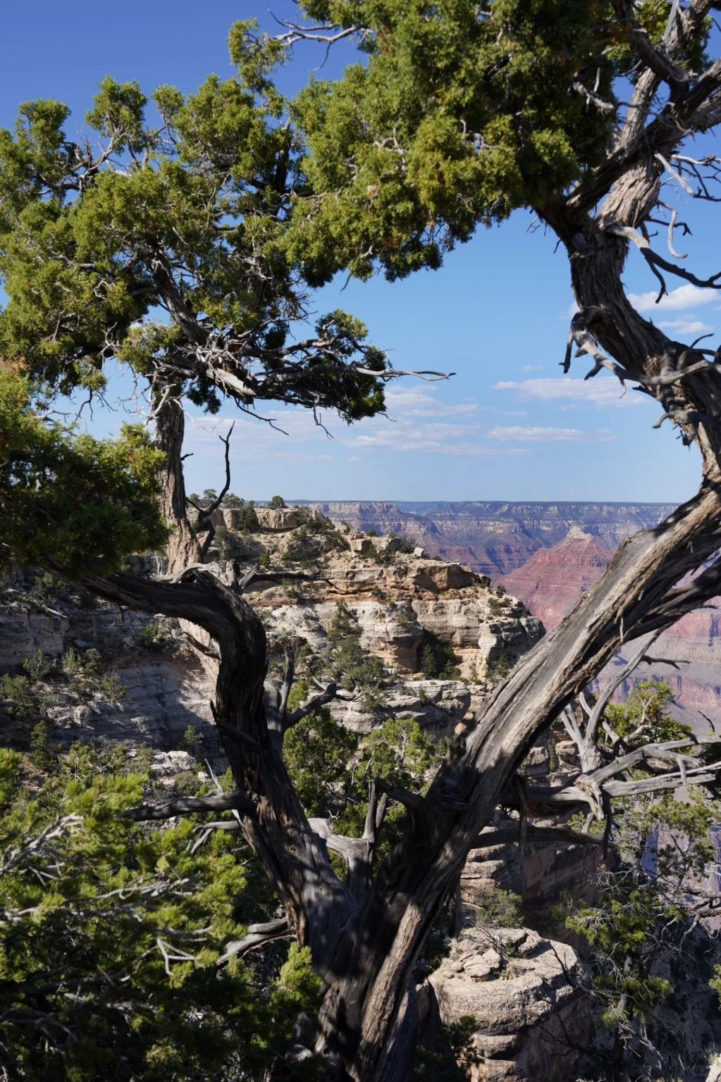 美國私享行Vegas地標深度遊[大峽谷東緣南緣]-12H行程