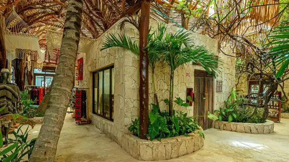 Guided Puerto Morelos reef snorkeling with lunch from Cancun