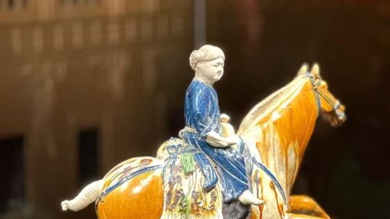 Shaanxi History Museum private guide service (including admission reservation + venue admission ticket) is open to all groups