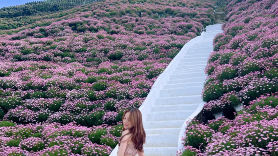 Cameron Highlands