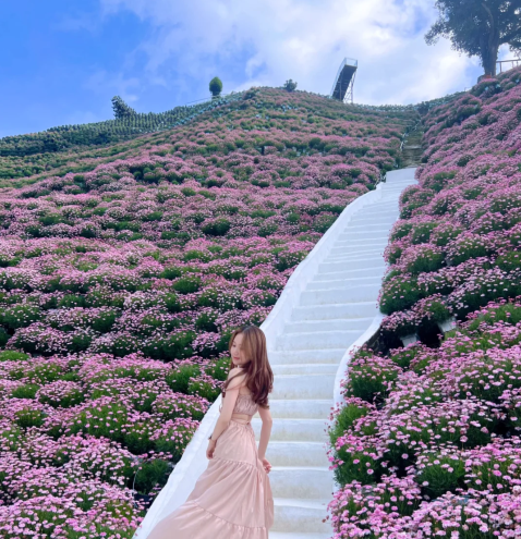 吉隆坡-金馬倫高原-吉隆坡 2日1夜（吉隆坡市區酒店隔日來回 一日包車10小時包車+一日金馬倫高原到吉隆坡單程）