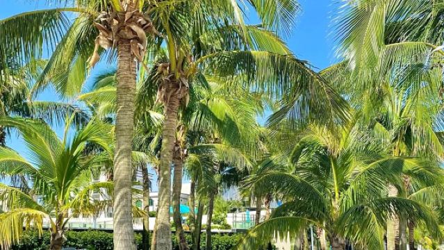 Tagesausflug mit Privattransfer nach Yangjiang Hailing Island + Beiluo Geheimnis – Service auf Chinesisch und Englisch verfügbar