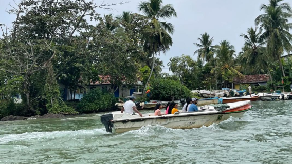 Sri Lanka|Safari en crucero por el río Madu de manglares: 2 horas en busca de vida silvestre
