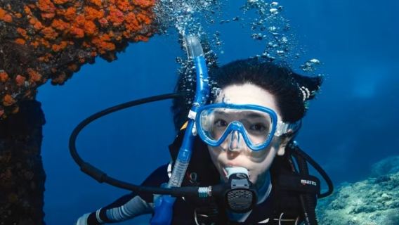 陵水海南雙帆石潛水中心體驗潛水水肺潛水2小時【【陵水雙帆石潛水】遠海深潛新手可玩專業教練一對一】