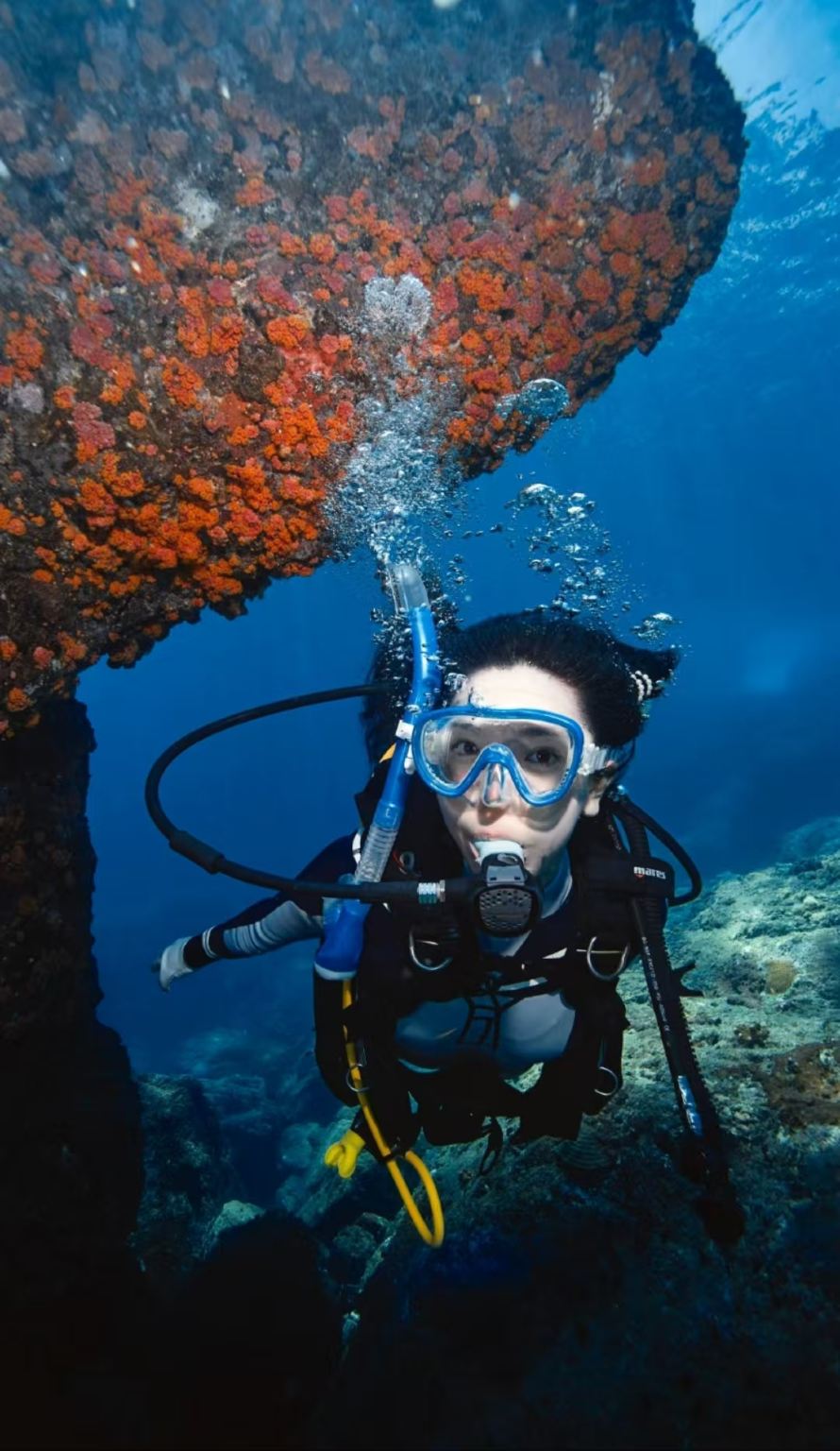 陵水海南雙帆石潛水中心體驗潛水水肺潛水2小時【【陵水雙帆石潛水】遠海深潛 新手可玩 專業教練一對一】