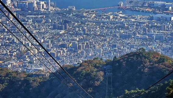 日本大阪+神戶港+六甲山夜景一日遊/行程可調-可定制多日